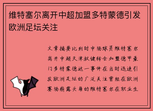 维特塞尔离开中超加盟多特蒙德引发欧洲足坛关注 维特塞尔离开中超加盟多特蒙德引发欧洲足坛关注